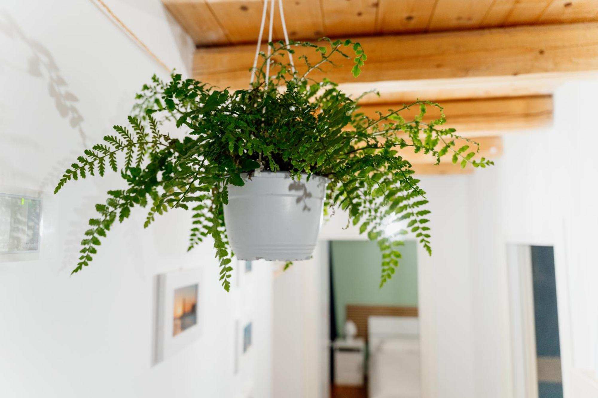 Nell'Antico Borgo B&B モルフェッタ エクステリア 写真